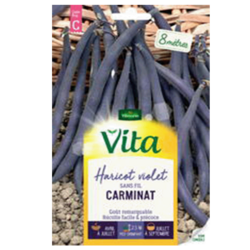 HARICOT CARMINAT - SEMIS POUR 8M