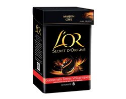 L’OR Secret d'Origine Guatemala Terres Volcaniques