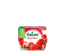 Desserts de fruits Rouge Plaisir 4x95g