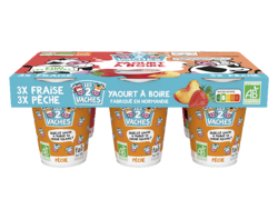 Yaourts à boire BIO