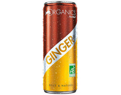 Ginger Ale - 250ml