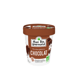 Crème glacée BIO Chocolat