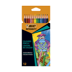Etui van 12 potloden Triangle BIC® Intensity® Up