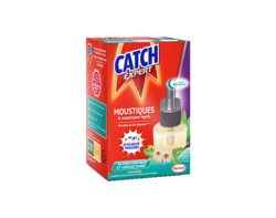 Recharge Electrique Menthe & Eucalyptus