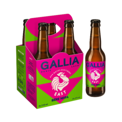 GALLIA EAST IPA 4/33CL