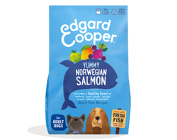 Fresh Salmon Dog Food 1kg