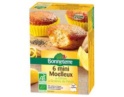 6 Mini Moelleux au Citron et Graines de Pavot