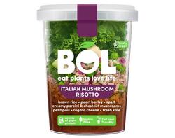 Italian Mushroom Risotto 345g