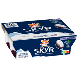 Yoplait Skyr Myrtilles 100g x4