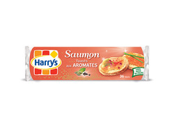 Toasts Saumon