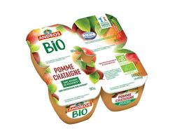 Pomme Châtaigne BIO 4x90g