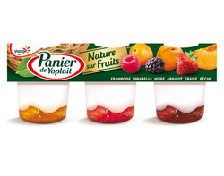 Panier de Yoplait Nature Sur Fruits x6