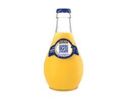 Orangina Regular VC 25 cl