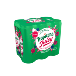 Tropicana Juicy Pomme Cassis Framboise 6x33cl