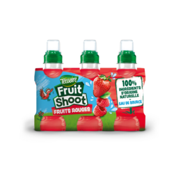 Fruits rouges 6x20cl