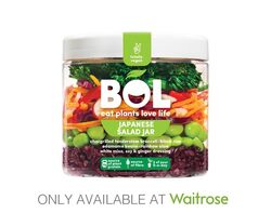 NEW BOL Salad Jars