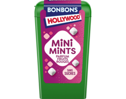 Mini Mints Parfum Fruits Rouges - 12,5g