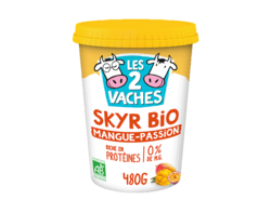 Skyr Bio Mangue Passion