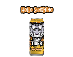 Crazy Tiger HELLO SUNSHINE - Canette 50cl