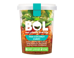 Thai Coconut Curry 345g