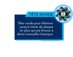 Tête ronde