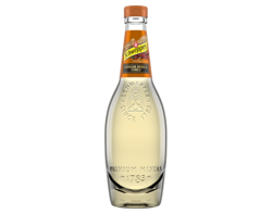 Schweppes Sélection Ginger Beer 45cl