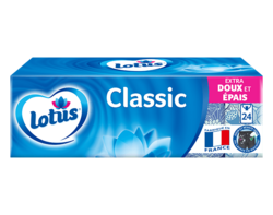 Lotus Compact Etuis x24