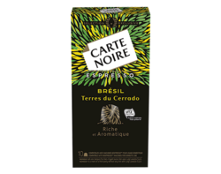 Espresso Brésil Origines 