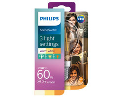 SceneSwitch Standard 60W E27