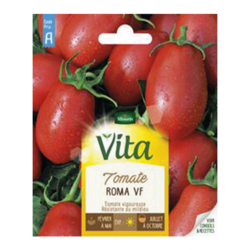 TOMATE ROMA VF