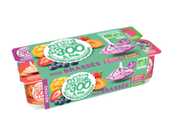 Nos yaourts aux fruits format familial 8x125g