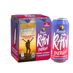 Raspberry & Blueberry 500ml x4