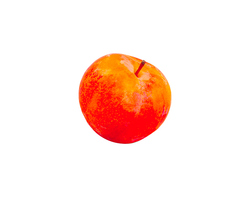 ESTIVA® TC Sun