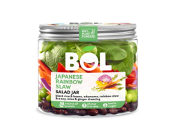 Japanese Rainbow Slaw Salad Jar 350g