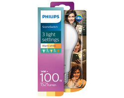 Scene Switch Standard 100W E27