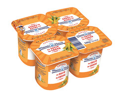 Yaourt au Sucre de Canne Roux x4