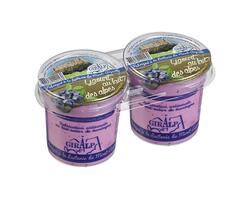 Yaourts aux myrtilles