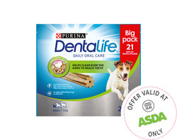 Dentalife - bigger pack