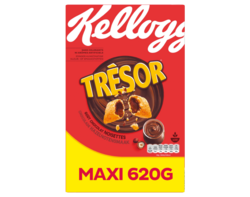 Trésor goût Chocolat Noisettes 620g
