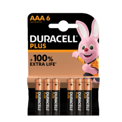 Duracell Plus 100%  AAA X6