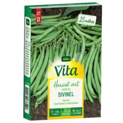 HARICOT DIVINEL - SEMIS POUR 15M