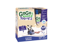 Blueberry YogurtZ 4x85g