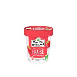 Sorbet BIO Fraise de Bretagne