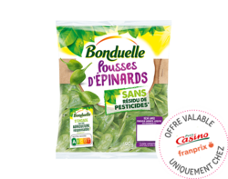 L'Epinard Sans Résidu Bonduelle