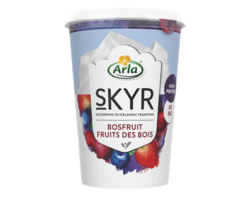 Skyr Arla Fruits des bois 450g