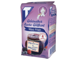 Geleisuiker Maxi Fruit