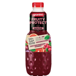 granini Fruity Protect 1L
