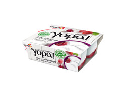 Yopa! Nature sur lit de Fruits Rouges 100gx4