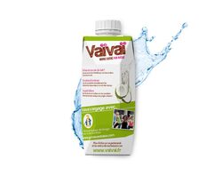 Eau de Coco 33cl