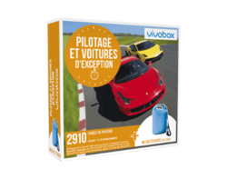Pilotage et voitures d'exception - 84,90€